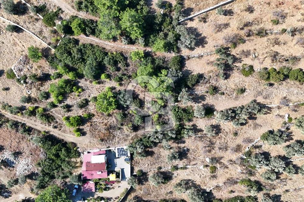 DATÇA MESUDİYEDE DENİZ MANZARALI YATIRIMLIK MÜSTAKİL TAPULU ARSA