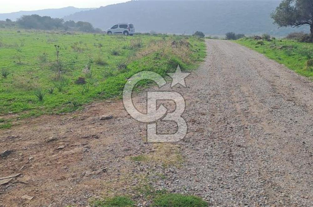 izmir foça yenibağarası satılık tarla