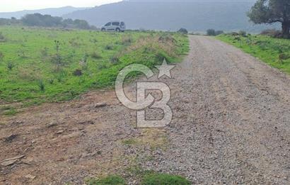 izmir foça yenibağarası satılık tarla