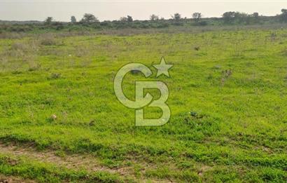 izmir foça yenibağarası satılık tarla