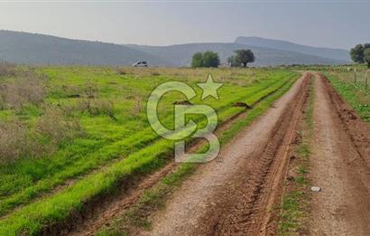 izmir foça yenibağarası satılık tarla