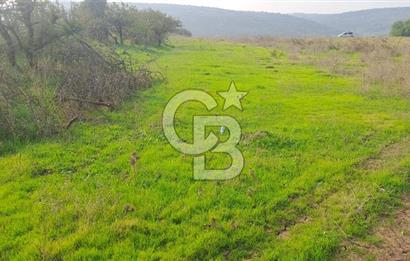 izmir foça yenibağarası satılık tarla