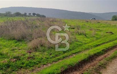izmir foça yenibağarası satılık tarla