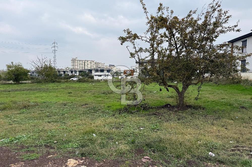 CB ENVOY'dan Gölcük İhsaniye'de Satılık Nadide Konumda Arsa