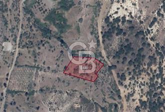 DEMİRCİ YATIRIMLIK TARLA - 9 - 312888