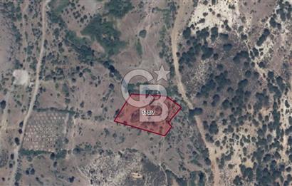 DEMİRCİ YATIRIMLIK TARLA