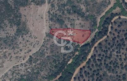 DEMİRCİ AHATLARDA UYGUN FİYATLI YATIRIMLIK ARSA