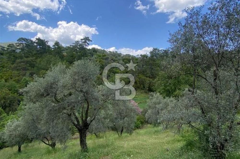 Muğla Menteşe Meke Mahallesi’nde Satılık Tarla