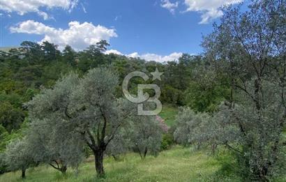 Muğla Menteşe Meke Mahallesi’nde Satılık Tarla