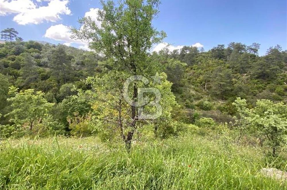 Muğla İli Menteşe İlçesi Meke Mahallesi’nde 459,89 m² Satılık Tarla