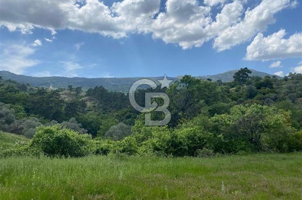 Muğla İli Menteşe İlçesi Meke Mahallesi’nde 459,89 m² Satılık Tarla