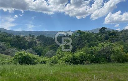 Muğla İli Menteşe İlçesi Meke Mahallesi’nde 459,89 m² Satılık Tarla