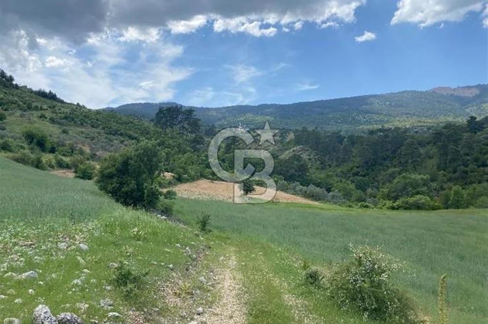 Muğla İli Menteşe İlçesi Meke Mahallesi’nde 459,89 m² Satılık Tarla