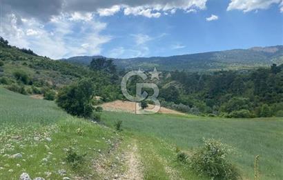 Muğla İli Menteşe İlçesi Meke Mahallesi’nde 459,89 m² Satılık Tarla