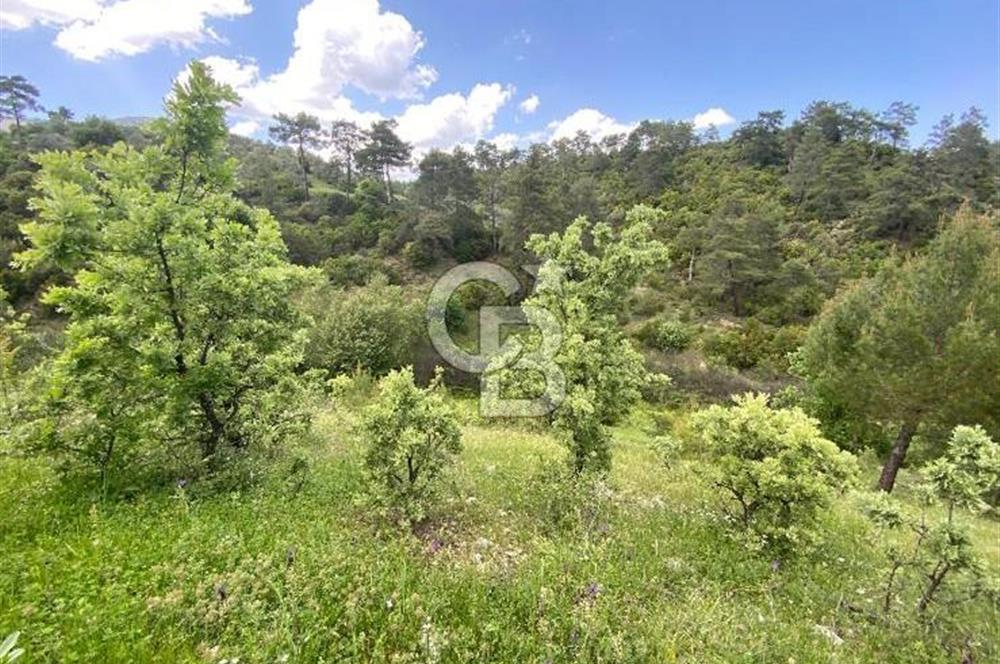 Muğla İli Menteşe İlçesi Meke Mahallesi’nde 459,89 m² Satılık Tarla