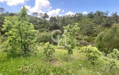 Muğla İli Menteşe İlçesi Meke Mahallesi’nde 459,89 m² Satılık Tarla