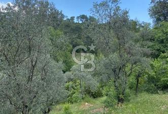 Muğla Menteşe Meke Mahallesi’nde Satılık Tarla - 2 - 312856