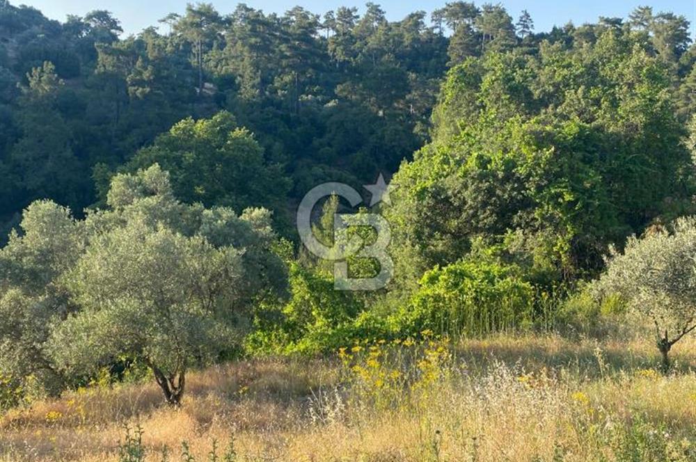 Muğla Menteşe Meke Mahallesi’nde Satılık Tarla