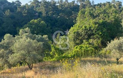 Muğla Menteşe Meke Mahallesi’nde Satılık Tarla