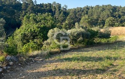 Muğla Menteşe Meke Mahallesi’nde Satılık Tarla