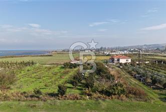 🌿 Çardak’ta 2872 m² Meyve Ağaçlı, Elektrikli, Artezyenli Satılık Tarla 🌿 - 3 - 312854