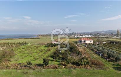 🌿 Çardak’ta 2872 m² Meyve Ağaçlı, Elektrikli, Artezyenli Satılık Tarla 🌿