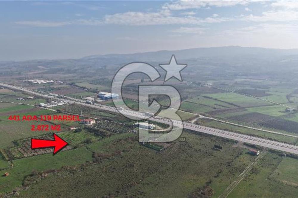 🌿 Çardak’ta 2872 m² Meyve Ağaçlı, Elektrikli, Artezyenli Satılık Tarla 🌿