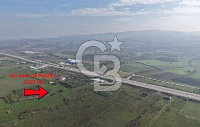 🌿 Çardak’ta 2872 m² Meyve Ağaçlı, Elektrikli, Artezyenli Satılık Tarla 🌿