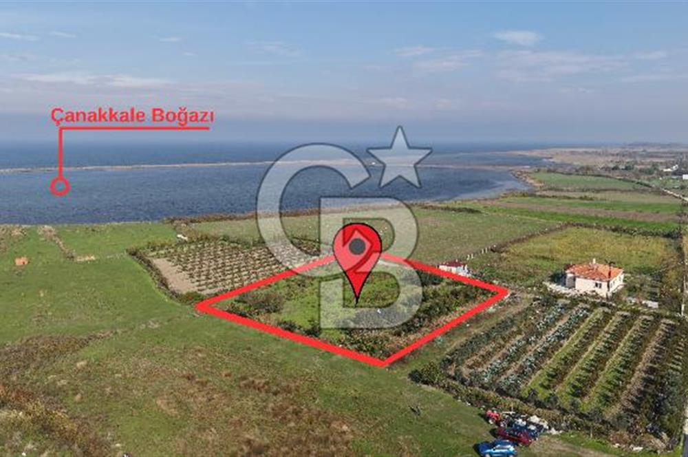 🌿 Çardak’ta 2872 m² Meyve Ağaçlı, Elektrikli, Artezyenli Satılık Tarla 🌿