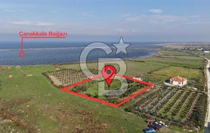 🌿 Çardak’ta 2872 m² Meyve Ağaçlı, Elektrikli, Artezyenli Satılık Tarla 🌿