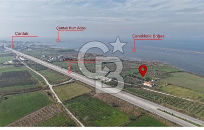 🌿 Çardak’ta 2872 m² Meyve Ağaçlı, Elektrikli, Artezyenli Satılık Tarla 🌿