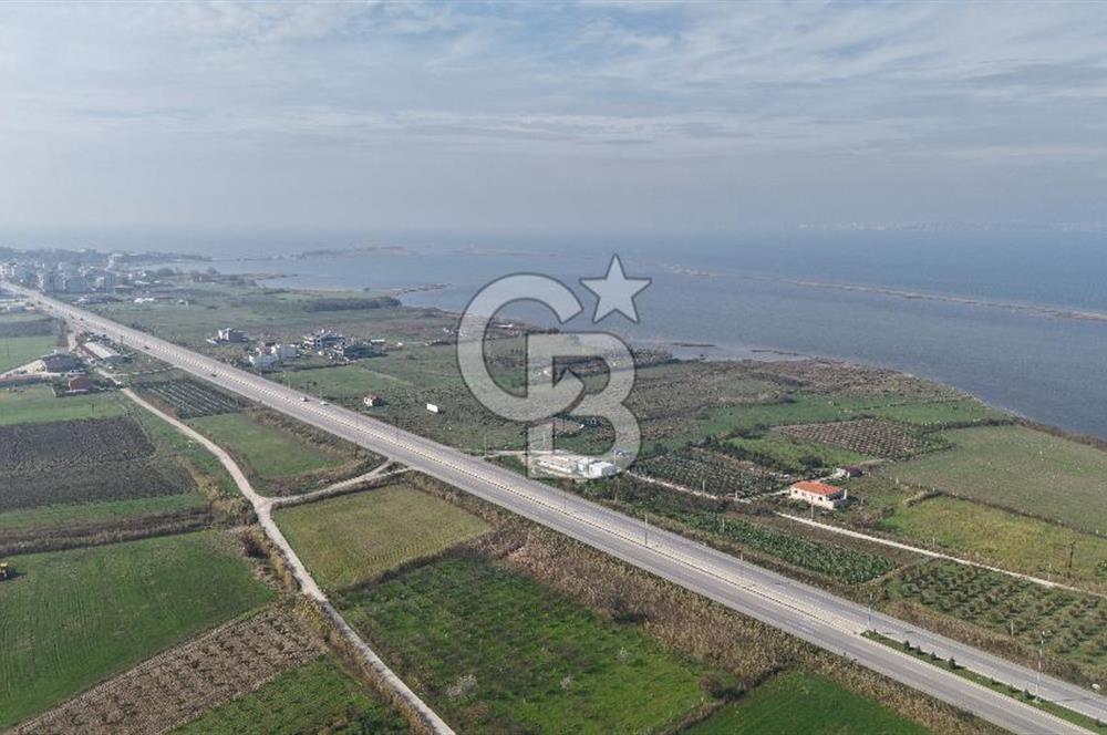 🌿 Çardak’ta 2872 m² Meyve Ağaçlı, Elektrikli, Artezyenli Satılık Tarla 🌿