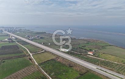 🌿 Çardak’ta 2872 m² Meyve Ağaçlı, Elektrikli, Artezyenli Satılık Tarla 🌿