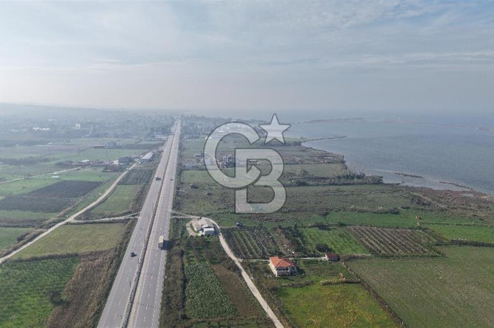 🌿 Çardak’ta 2872 m² Meyve Ağaçlı, Elektrikli, Artezyenli Satılık Tarla 🌿