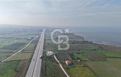 🌿 Çardak’ta 2872 m² Meyve Ağaçlı, Elektrikli, Artezyenli Satılık Tarla 🌿