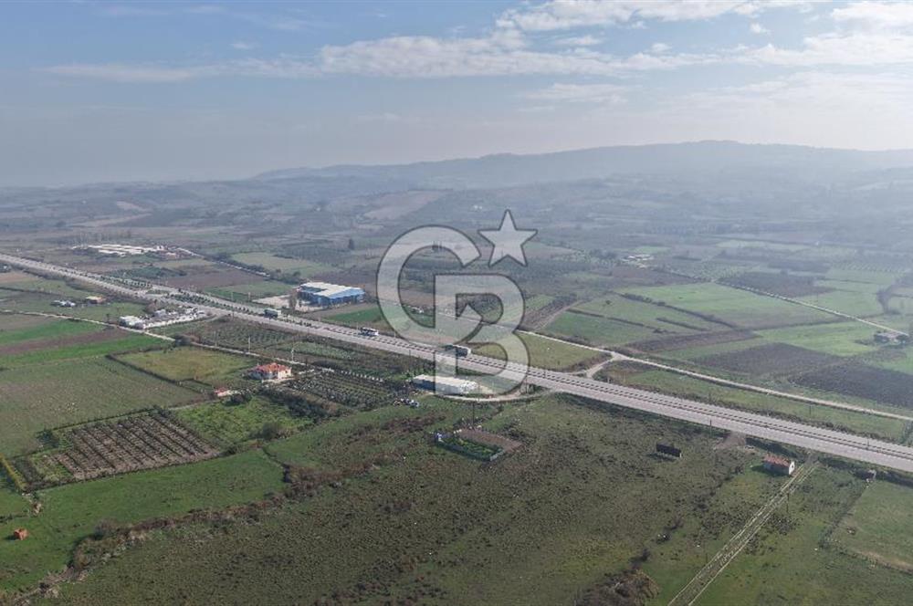 🌿 Çardak’ta 2872 m² Meyve Ağaçlı, Elektrikli, Artezyenli Satılık Tarla 🌿