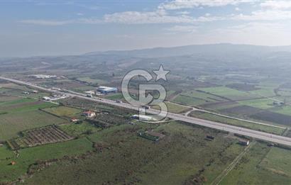 🌿 Çardak’ta 2872 m² Meyve Ağaçlı, Elektrikli, Artezyenli Satılık Tarla 🌿