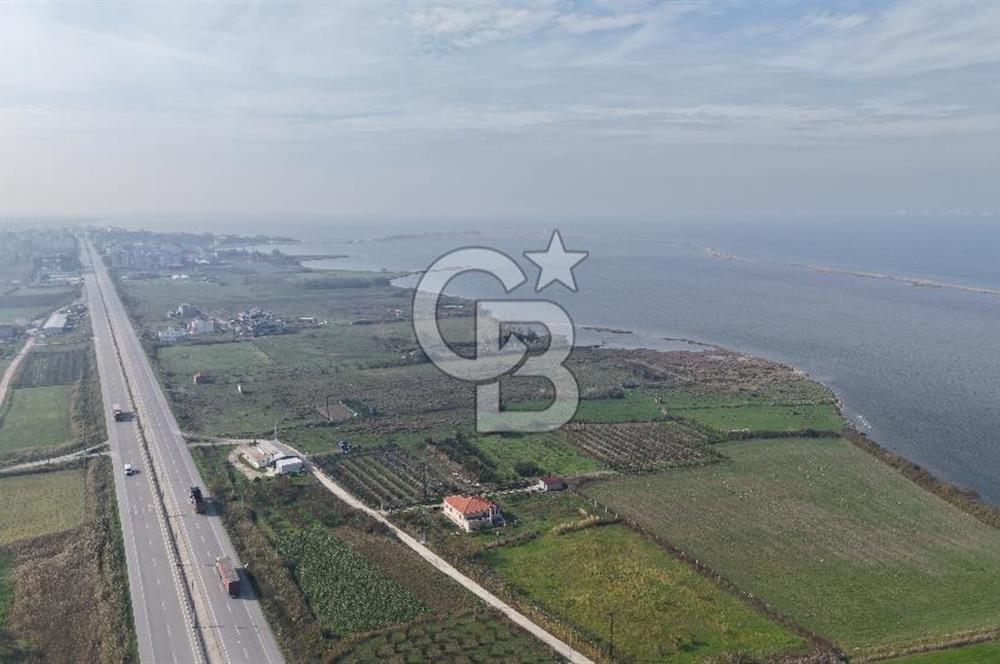 🌿 Çardak’ta 2872 m² Meyve Ağaçlı, Elektrikli, Artezyenli Satılık Tarla 🌿