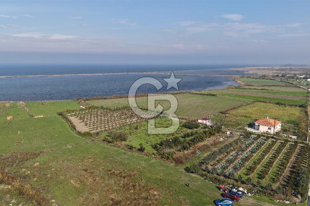 🌿 Çardak’ta 2872 m² Meyve Ağaçlı, Elektrikli, Artezyenli Satılık Tarla 🌿