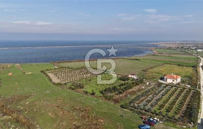 🌿 Çardak’ta 2872 m² Meyve Ağaçlı, Elektrikli, Artezyenli Satılık Tarla 🌿