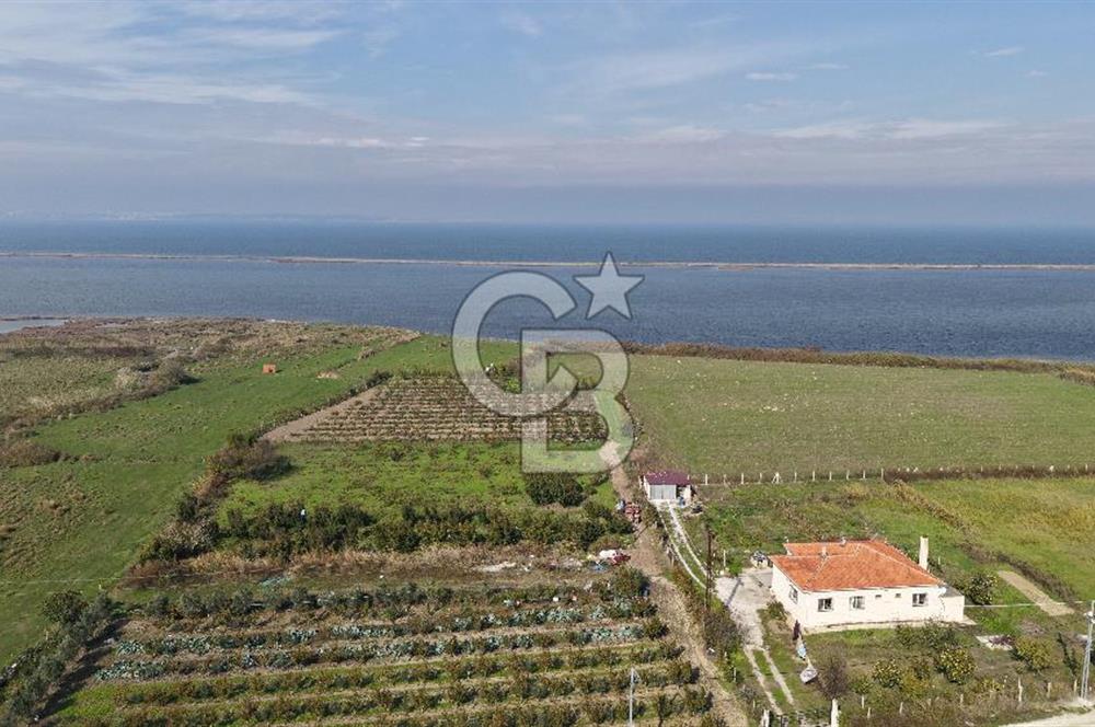 🌿 Çardak’ta 2872 m² Meyve Ağaçlı, Elektrikli, Artezyenli Satılık Tarla 🌿