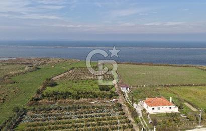 🌿 Çardak’ta 2872 m² Meyve Ağaçlı, Elektrikli, Artezyenli Satılık Tarla 🌿