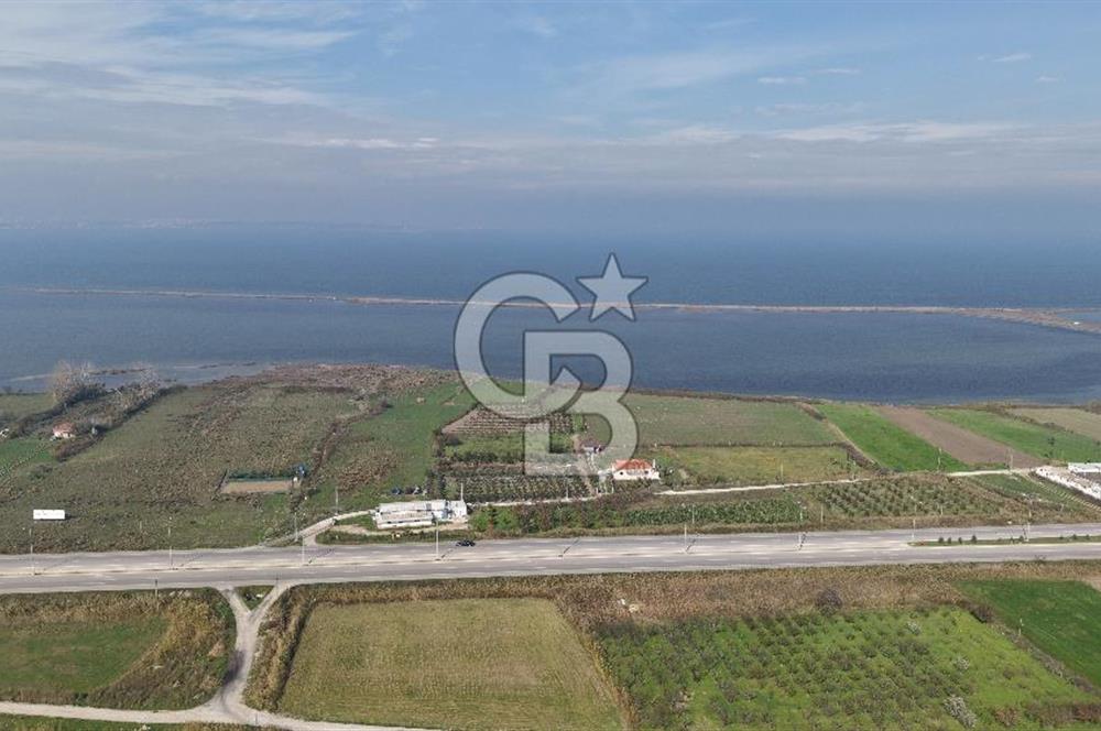 🌿 Çardak’ta 2872 m² Meyve Ağaçlı, Elektrikli, Artezyenli Satılık Tarla 🌿