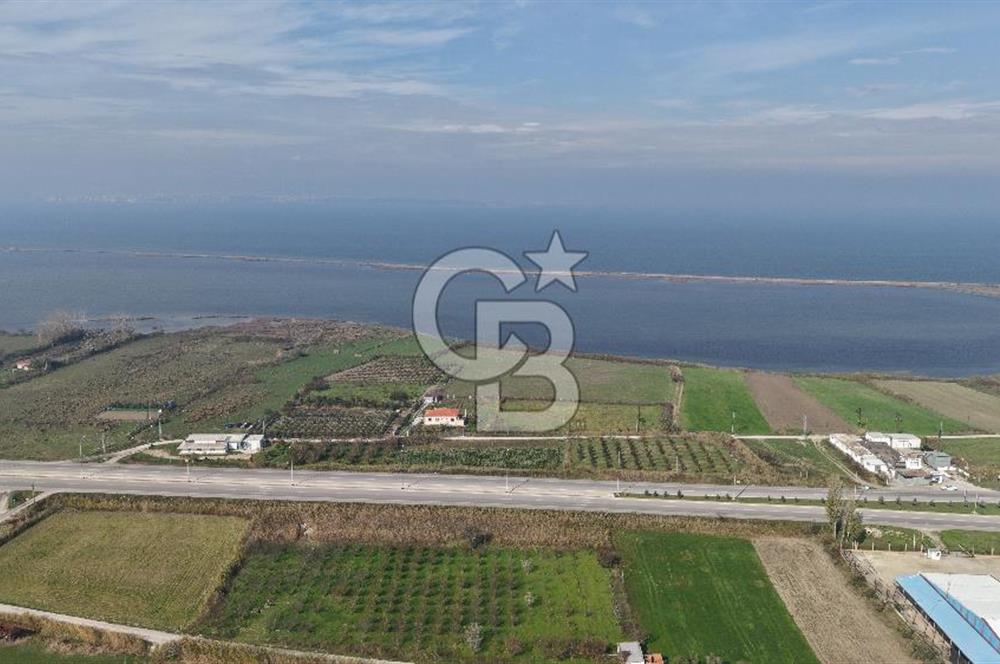 🌿 Çardak’ta 2872 m² Meyve Ağaçlı, Elektrikli, Artezyenli Satılık Tarla 🌿