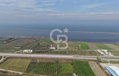 🌿 Çardak’ta 2872 m² Meyve Ağaçlı, Elektrikli, Artezyenli Satılık Tarla 🌿