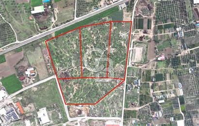 Bayındır' da Sanayi İmarlı Yatırıma Uygun Satılık Arsa CB-PH