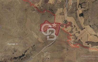 Sincan Temelli Ücret Mevkinde İmara Yakın Tek Tapu Tarla