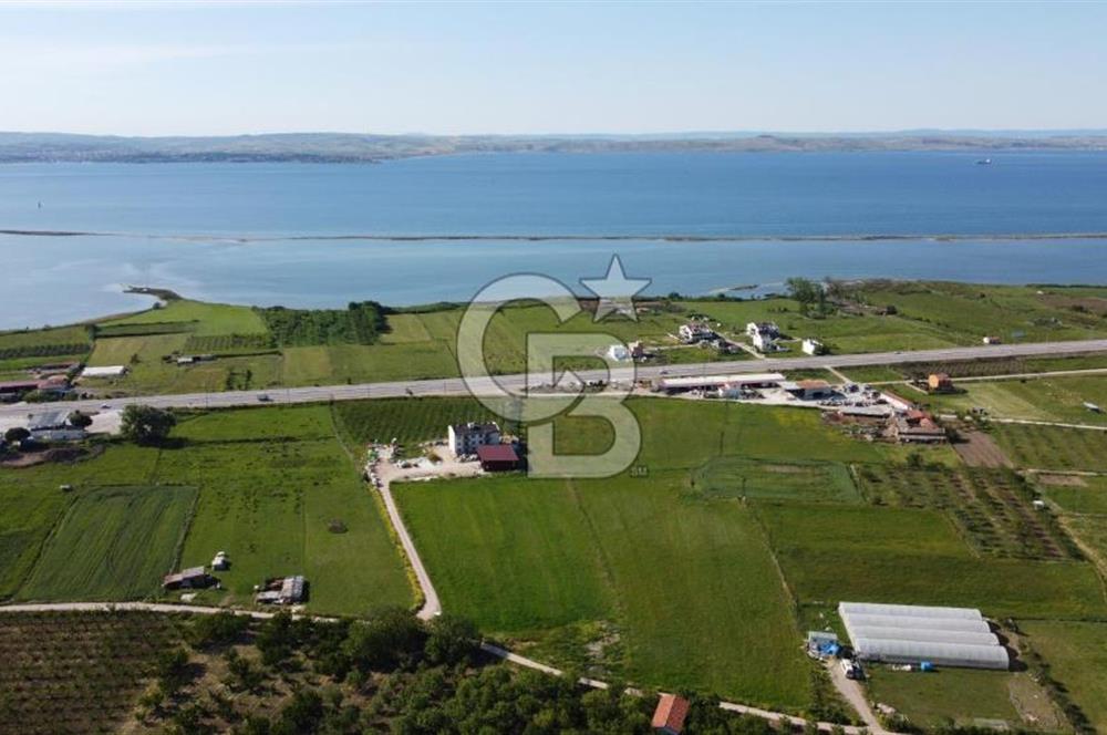 ÇANAKKALE LAPSEKİ ÇARDAK'TA HUZURLU YAŞAM İÇİN VİLLA İMARLI ARSA