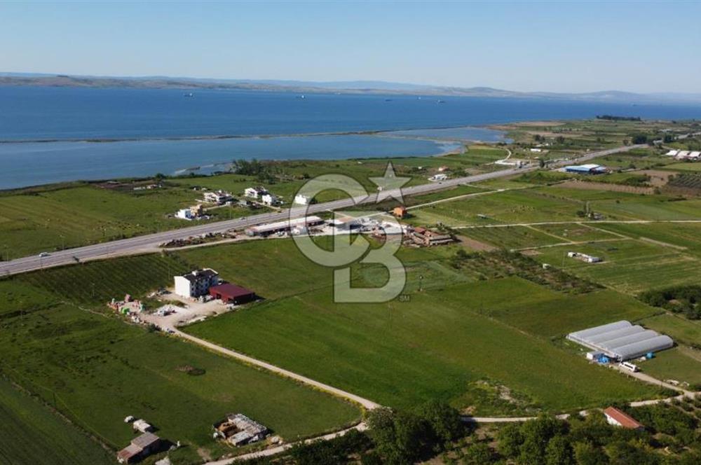 ÇANAKKALE LAPSEKİ ÇARDAK'TA HUZURLU YAŞAM İÇİN VİLLA İMARLI ARSA