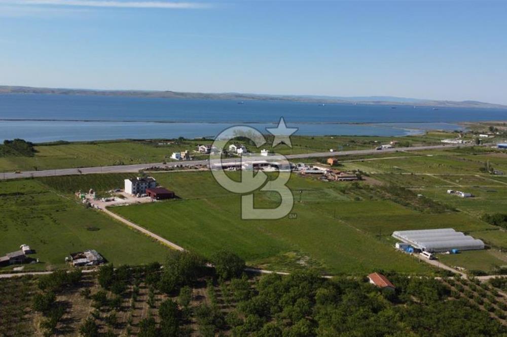 ÇANAKKALE LAPSEKİ ÇARDAK'TA HUZURLU YAŞAM İÇİN VİLLA İMARLI ARSA